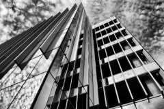 Glass-and-Steel22