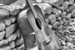 Rock-in-The-Rock-Garden-ns-1